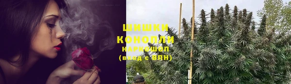гашик Россошь