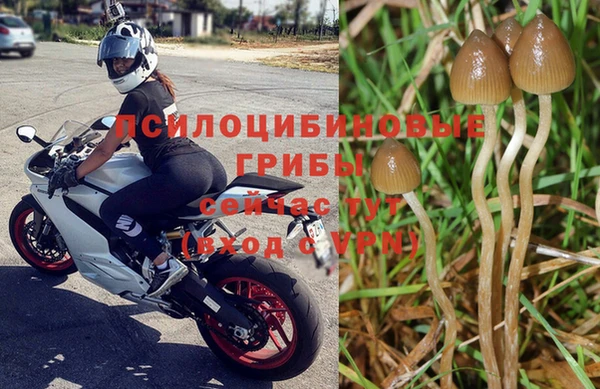 метамфетамин Белокуриха