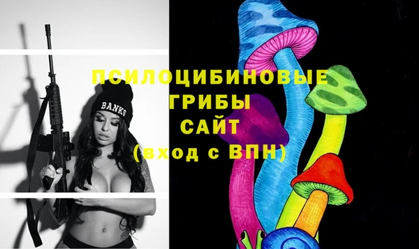 метамфетамин Белокуриха
